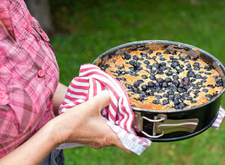 Close-up of a freshly baked blueberry pie in the hands of a womanの写真素材