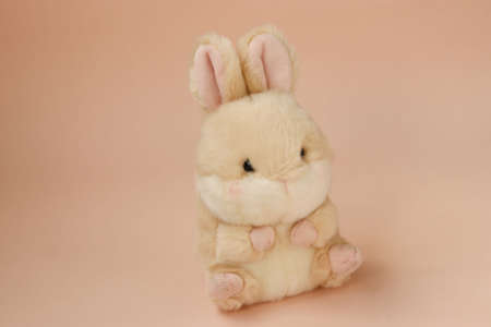 Soft toy rabbit on a peach background, copy spaceの写真素材