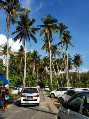 November 12, 2018, Nusa Penida island near Bali, Indonesia, Car parking near high palm treesのeditorial素材