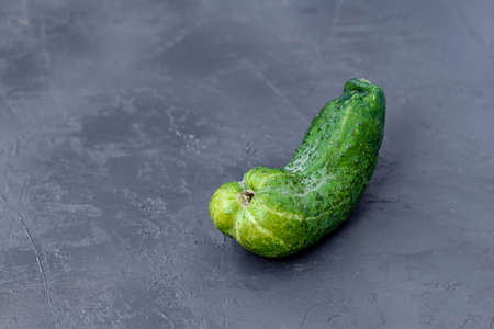 Trendy ugly organic cucumder on a gray dark background, copy space, horizontal orientationの写真素材