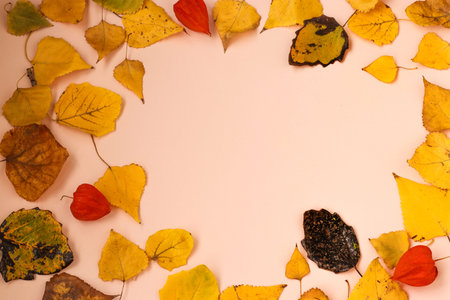 Autumn composition with frame made of autumn leaves, horizontal orientation, top view, copy space