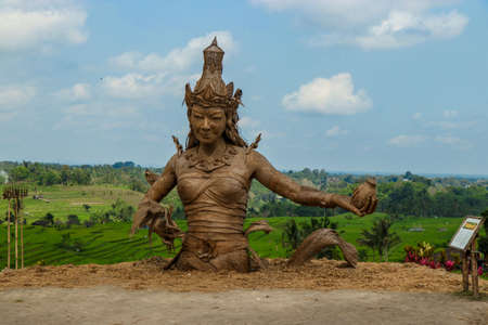 Statue of Dewi Sri, the goddess of rice, made from dried rice plant leaves, Located in the center of rice terraces Jatiluwih, a Unesco heritage site in the west side of Baliの写真素材