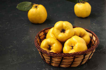 Ripe yellow quince fruit on dark background in a wicker basket, healthy lifestyle, nutrition, Copy spaceの写真素材