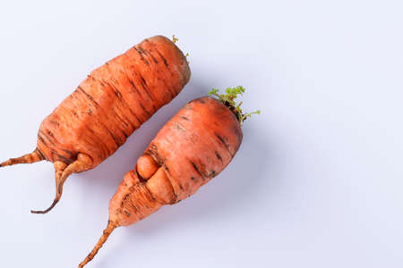Ugly organic carrot on white background. Concept environmental shopping, Copy space, Top viewの写真素材