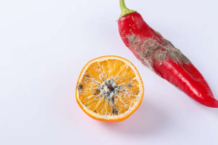 Rotten with mold orange and red pepper on white background, Closeupの写真素材