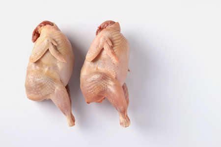 Two fresh organic quails isolated on white background, Horizontal format, Copy spaceの写真素材