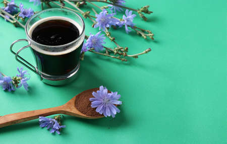 Chicory beverage in glass cup, with concentrate and flowers on green background. Healthy herbal beverage, coffee substitute, copy spaceの写真素材