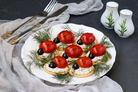 Funny Ladybird snack shaped appetizer with tomato on crackers with cheese on white plate on dark background. Closeupの写真素材
