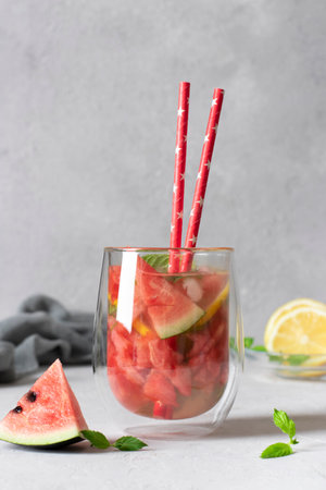 Bright Watermelon Mojito cocktail with mint, lemon slices and drinking straw on light gray background. Vertical formatの写真素材