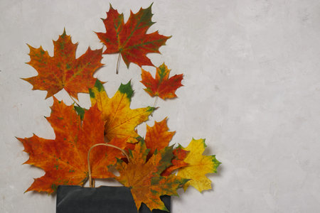 Colorful autumn leaves in a craft paper bag on a gray background. Autumn discounts and shopping...