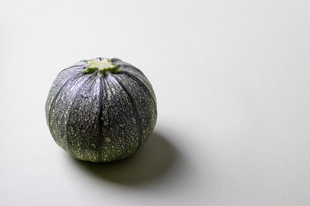 One round green zucchini on a light background with a shadow. Place for textの写真素材