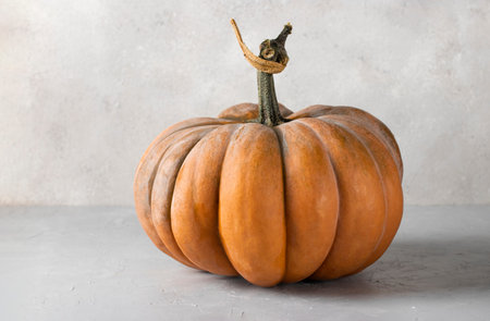 Beautiful bright pumpkin on a light gray background with place for text. Halloween minimal concept