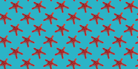 Seamless pattern of starfish on turquoise background for wallpaper, fabric or wrapping-paperの写真素材