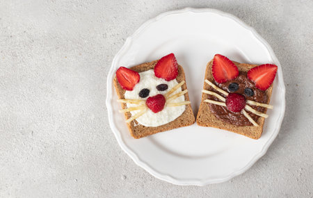 Two sweet toasts for kids in shape of cat with strawberries, banana, cream cheese and chocolate on white plate on gray backgroundの写真素材