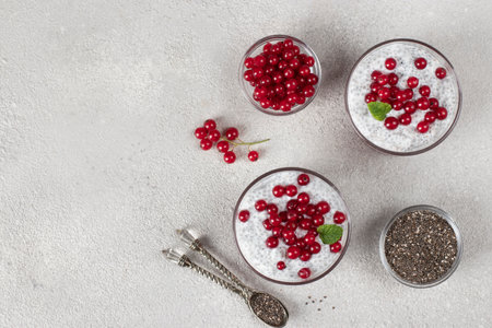 Chia pudding with yogurt and red currants in glasses on light gray background, Copy spaceの写真素材