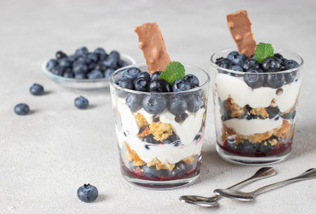 Dessert with biscuit, blueberry, cream and chocolate in glasses on light gray backgroundの写真素材