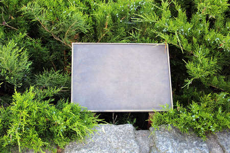 rectangular empty iron plate on a green fir-tree backgroundの写真素材