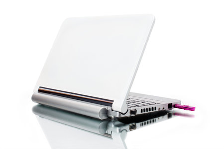white netbook and pink USB key with reflected shadow, isolated