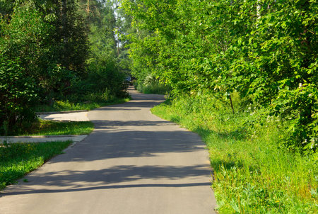 black car with driver and path on the asphalt road through the green wood
