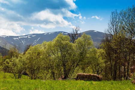 landscape consist of green grass with hay in the cartload on the foreground and mountains with...