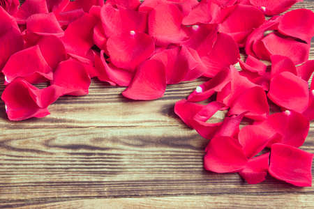 scattered petals of red roses on a wooden brown backgroundの写真素材