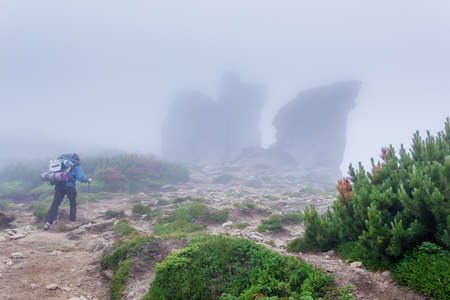 the tourist rises to the top of the mountainsの写真素材