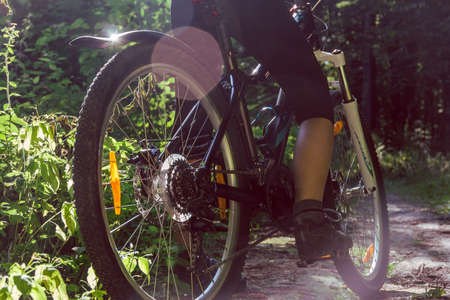 Cyclist on a bicycle in a green forestの写真素材