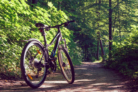 Female mountain bike in a green forestの写真素材