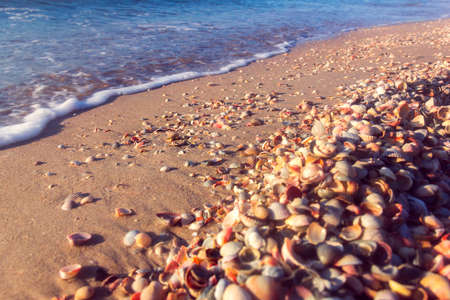 the sea coast with the blue sea and the coast from shellsの写真素材
