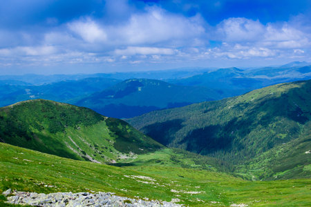 landscape consisting of a Carpathians mountains with fir-trees and green grassy valley and blue sky...