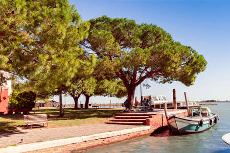 pier on the island of Burano with boat and treesの写真素材