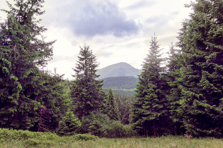 landscape of a Carpathians mountains with mountain Petros in the centre