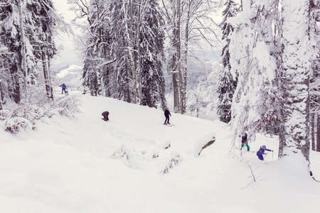 skiers and snowboarders descend down the mountain in winterの写真素材