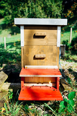 Wooden Frame Beehive in Organic Garden on a Sunny Dayの写真素材