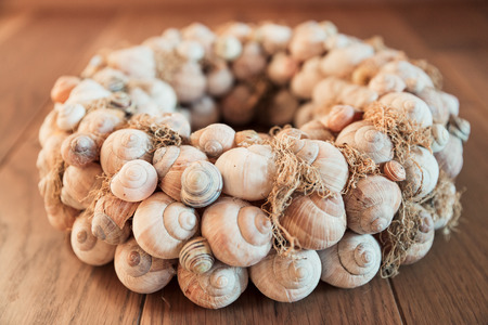 Home Made Dried Snails Crown Hanging Decorationの写真素材