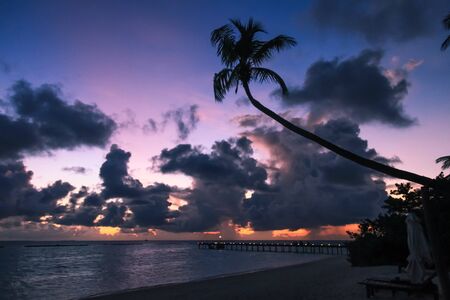 Tropical Sunset over Maldives Island Beach Palm Tree and Pacific Ocean at Duskの写真素材