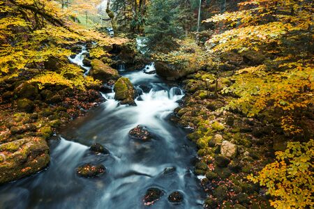 River Flowing through Mossy Rocks in Park Forest with Autumn Foliageの写真素材