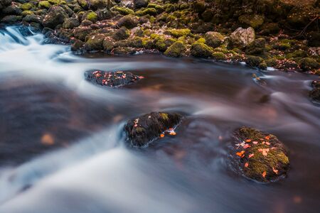 River Flowing through Mossy Rocks in Park Forest with Autumn Foliageの写真素材
