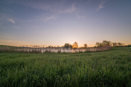 Sunrise Light Piercing Through Mist and Trees and Reflecting in Lake