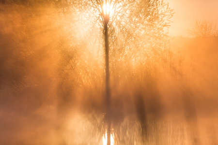 Sunrise Light Piercing Through Mist and Trees and Reflecting in Lake in Sceptre Shape