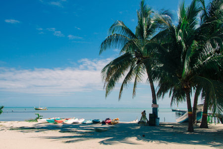 Multicoloured Rental Sea Kayaks on Tropical Beach on a Sunny Day