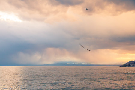 Seagulls Flying in Stormy Overcast Sky over Lake Lemanの写真素材