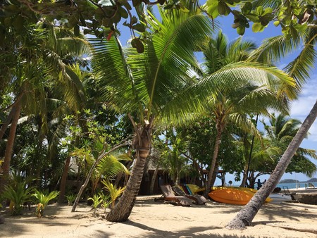 Vacation in Fijiのeditorial素材