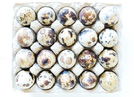 Beautiful little quail eggsの写真素材