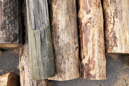 Firewood in the yard different sizes