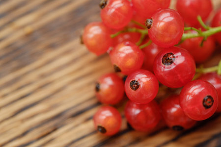 Fresh red currants are tasty and healthy
