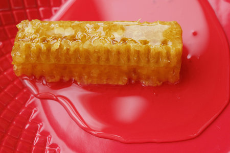 Delicious honeycomb with honey healthy and testy