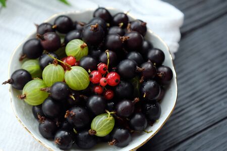Plate with blackcurrants and gooseberriesの写真素材