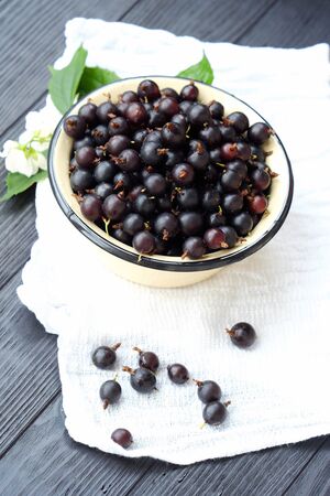 Delicious fresh black currants in plateの写真素材