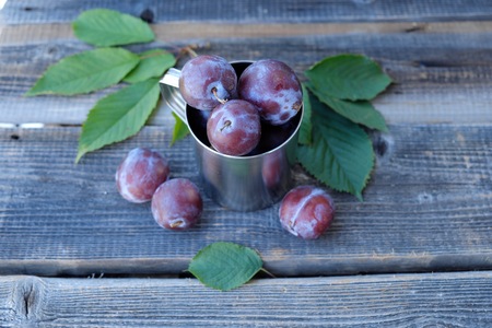 Fresh plums in the iron cup viewの写真素材